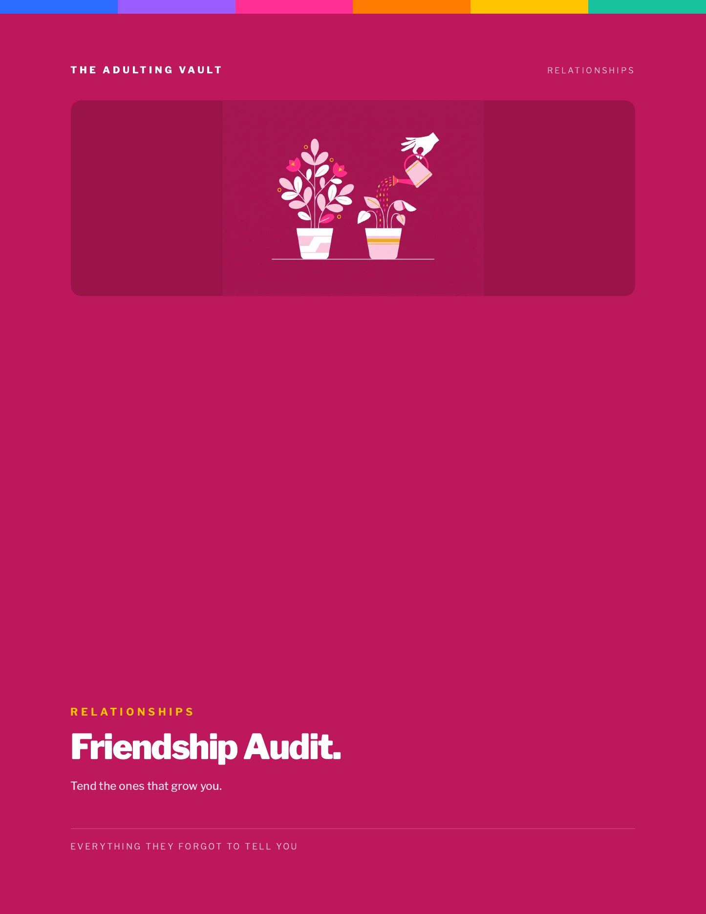 Friendship Audit cover